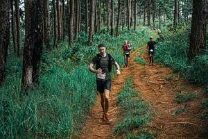 BIB: 
                            <button type="button" onclick="openModal(25652632)" class="btn btn-primary btn-sm float-right btn-popup" data-toggle="modal" data-target=".modal-high-quality">
                        <i class="fas fa-shopping-cart"></i> Add to Cart
                    </button>
                                            <button type="button" onclick="isThisMe(25652632, true)" class="btn btn-success btn-sm float-right btn-popup btn-isme hidden" data-toggle="tooltip" data-placement="bottom" title="นี่คือรูปของคุณใช่ไหม คลิกที่นี่เพื่อเอาเข้าอัลบั้ม">
                        <i class="fas fa-plus"></i> Add to album
                    </button>
                    <button type="button" onclick="isThisMe(25652632, false)" class="btn btn-warning btn-sm float-right btn-popup btn-isnotme hidden">
                        <i class="fas fa-ban"></i> Remove from album
                    </button>